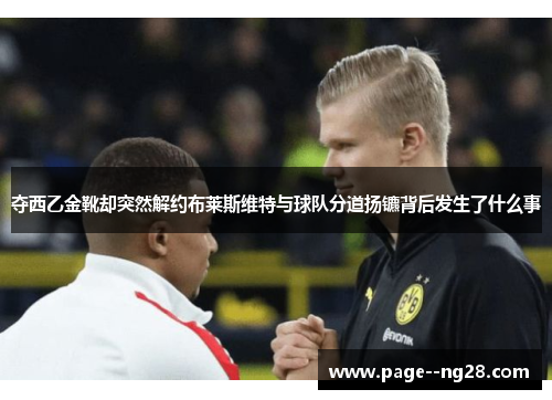 夺西乙金靴却突然解约布莱斯维特与球队分道扬镳背后发生了什么事 夺西乙金靴却突然解约布莱斯维特与球队分道扬镳背后发生了什么事